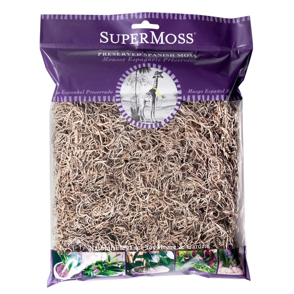 SuperMoss (26905) Spanish Moss Preserved, Natural, 4oz (7 59834 26905 2)