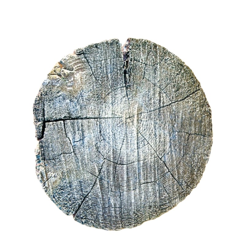 Concrete Texture Stamps And Masonry Forms Tool - Tree Stump