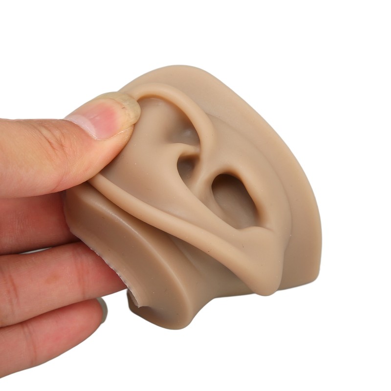 3D Nose and Mouth Model Silicone Ear Model Simulation Display