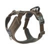 DOG Copenhagen Comfort Walk Pro Dog Harness, Mocha, XS