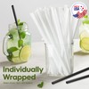 Delxo 500 Count Individually Wrapped Black Plastic Straws - 10.25
