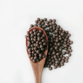 Donguihanjae 동의한재 100% 차전자피환 200g 100% Psyllium Husk Powder 200g