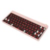 ASHATA WL61PLUS 60% RGB DIY Mechanical Keyboard, 61 Keys Hot