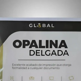 Opalina Delgada                                                                                                                                       
