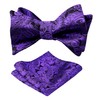Alizeal Mens 2pcs Paisley Jacquard Self-Tie Bow Tie Pocket Square