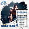 Creatina Monohidratada Bunny Sport de 400g Sabor Mango para Rendimiento