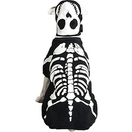 Casual Canine Cotton Glow Bones Dog Costume, Medium, 16-Inch