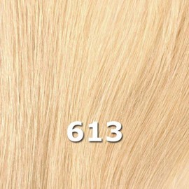 Brown Sugar Human Hair Blend Whole Lace Wig - BS410 (Color: 613 Champagne Blonde)