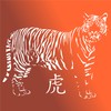 Tiger Stencil Reusable Stencils for African Big Cat Wildlife Painting