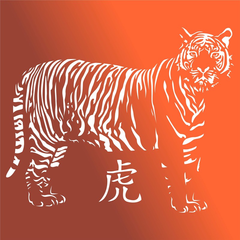 Tiger Stencil Reusable Stencils for African Big Cat Wildlife Painting