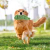 Pickle Squeaky Dog Toy - Durable Plush Chew Toy for