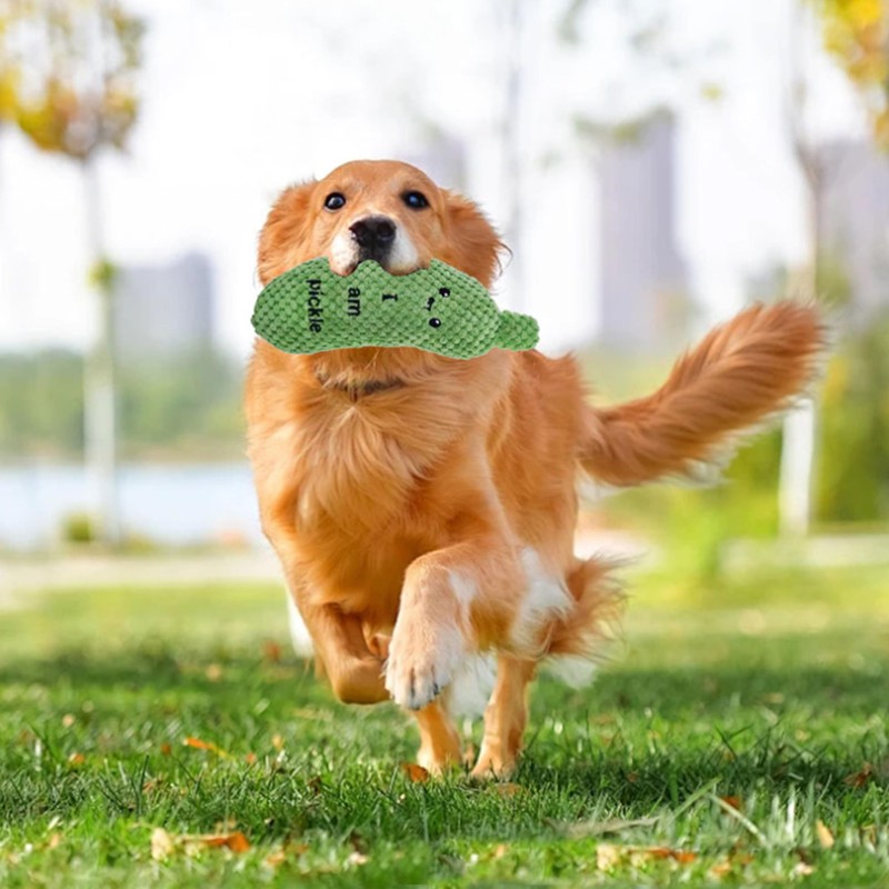 Pickle Squeaky Dog Toy - Durable Plush Chew Toy for
