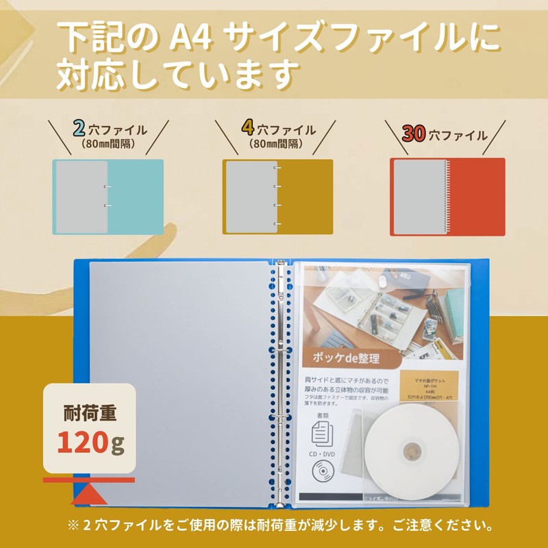 Lion A4 NP-1M File Refill, Organize Anything, 2 Pockets, Clear