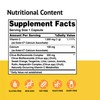 Ester-C with Citrus Bioflavonoids Capsules - 24-Hour Immune Support, Gentle