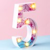 Leinuosen Spider LED Number Lights Birthday Party Decoration Pink Spider