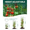 Breeze Touch 2 Pack Tomato Support Cages, Up to 59