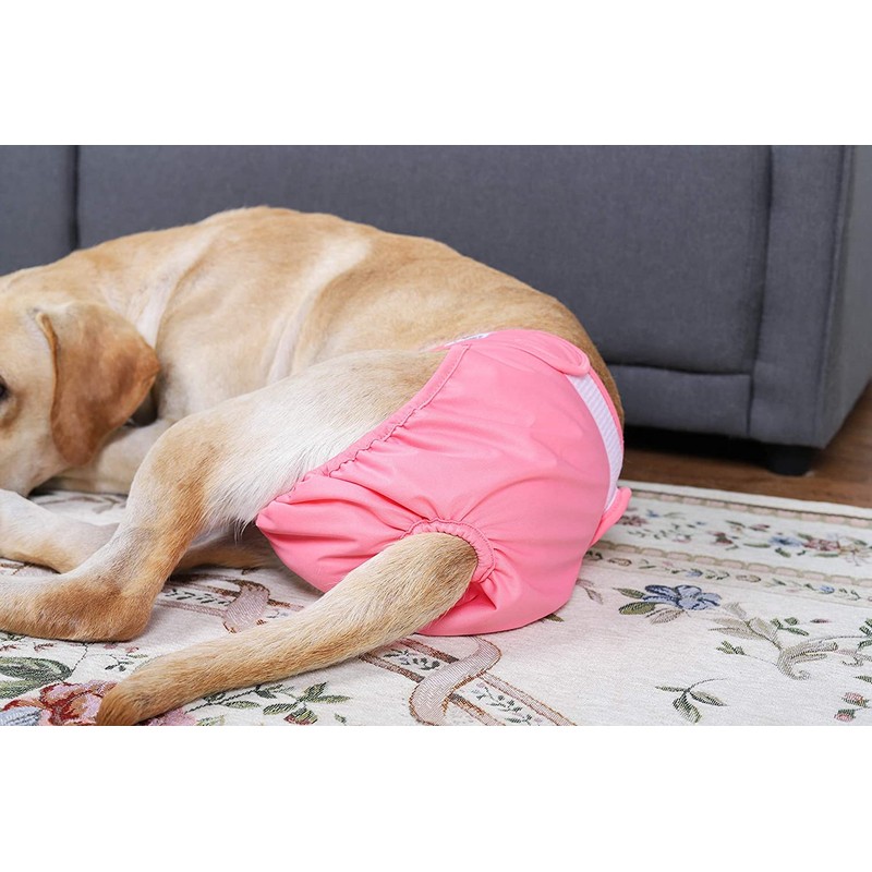 Jasinber Set de 4 Pañales de Perro Femenina Lavables, Envoltura