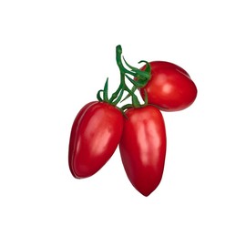 San Marzano Heirloom Tomato Seeds 10 Seeds Open-Pollinated
