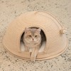 Cat Cave Bed with Washable Cushion and Ball, Handwoven Cotton