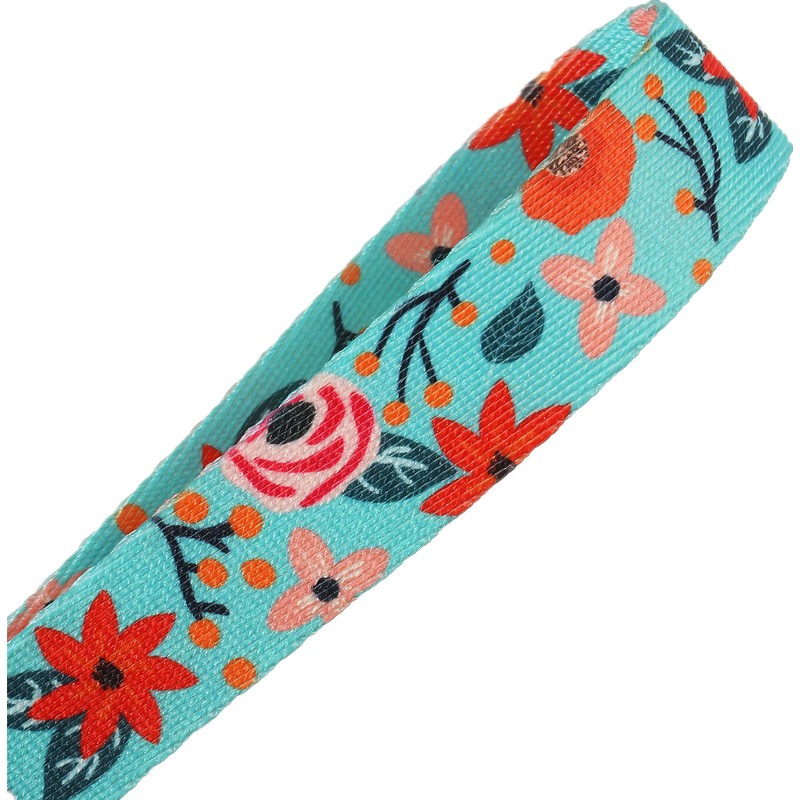 2 Pack Spring Dog Collar for Small Dogs, Quick Release