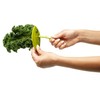 3 Herb Stripper + 2 Citrus Peelers - Kale Tool