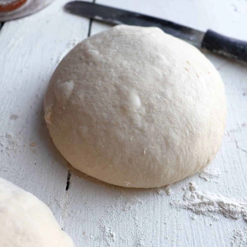 Heritage Sour SOURDOUGH STARTER DEHYDRATED ORGANIC SOUR EAST TENNESSEE -