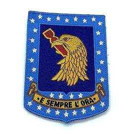 96th Bombardment Wing Patch – Plastic Backing, 4.5"