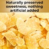 Organic Crystallized Ginger Slices Kosher Non GMO Sweet and Spicy