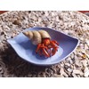 Hermit Crab Food and Water Dish Set, Leaf-Shaped Bowls, 5-Piece,