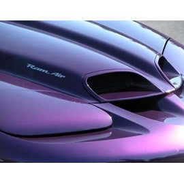 ORACAL Set of 2 Ram Air hood decals decal stickers fits GTO G8 Trans Am Firebird
