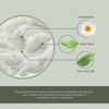 Snap Gentle Facial Scrub Microfine Exfoliant for Sensitive Skin Contains