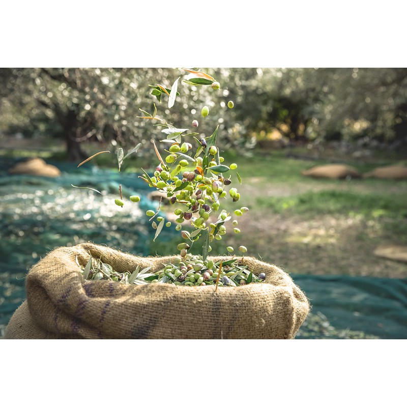 Setunea Organic Olive Oil and Peppermint Soap Bar 2 x