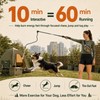 DEPURE Flirt Pole for Dogs,Heavy Duty Interactive Chase & Rope
