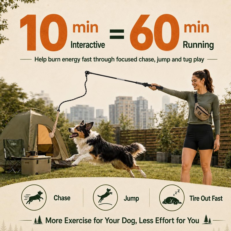 DEPURE Flirt Pole for Dogs,Heavy Duty Interactive Chase & Rope