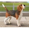 CollectA Beagle