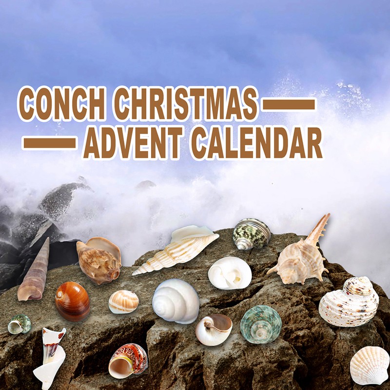 Christmas Countdown Advent Calendar 24 Pcs Shell Toys 2022 Conch