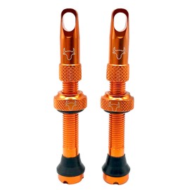 Hold Fast Cycling Tubeless Valve Stem, 42mm (Pair), Orange - 42ORGI