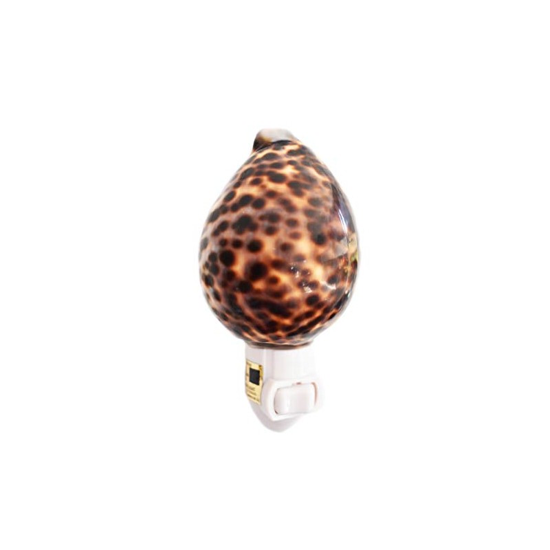 Real Seashell Night Light Tiger Cowrie Shell Decorative Beach Decor