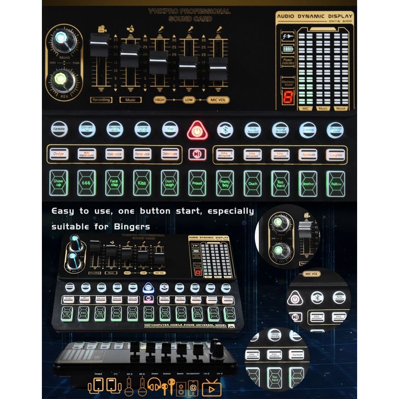 MadHornets V10 Live Sound Card & M800 Condenser Microphone for