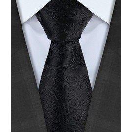 TIE G 5pcs Tie Set in Gift Box : Woven Paisley Necktie, Satin Bow Tie, Pocket Square, Lapel, Cuff Links (Black Paisley)