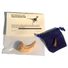 Cast Replica Velociraptor Dinosaur Claw with Bonus Genuine Fossil Spinosaurus