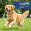 Collare Antiparassitario per Cani 62cm Regolabile - Protezione Efficace contro
