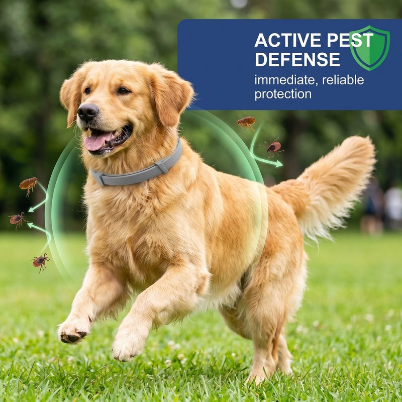 Collare Antiparassitario per Cani 62cm Regolabile - Protezione Efficace contro