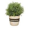 Sass & Belle Sgraffito Planter - Black/White