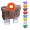 CARAX Glow Fuse – Premium Fuse STANDARD REGULAR Blade ATC/ATO/ATS