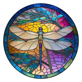 Dragonfly Suncatcher, Wall Art Dragonfly Wall Decorations with Openwork Pattern for Garden Wall Decorations Outdoor Hanging Home Decoration Wall Art, Stained Acrylic Window Panel(C)