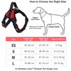 Dog Harness Mesh Breathable Comfortable Pet Vest No Pull Adjustable