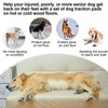 BEAUTYZOO Dog Paw Protector Pads for Senior Dogs, Anti-Slip Paw