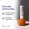 Embryolisse Protective Repair Lip Balm. Shea Butter Care for Hydration
