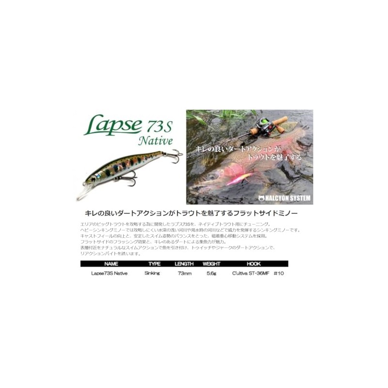 Halcyon System Lapse73S Native 06 BRB